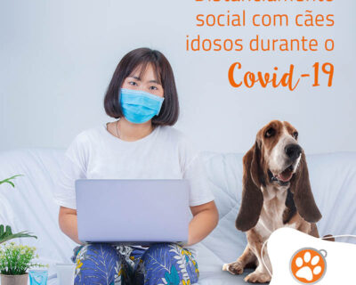 Distanciamento social com cães idosos durante o COVID-19
