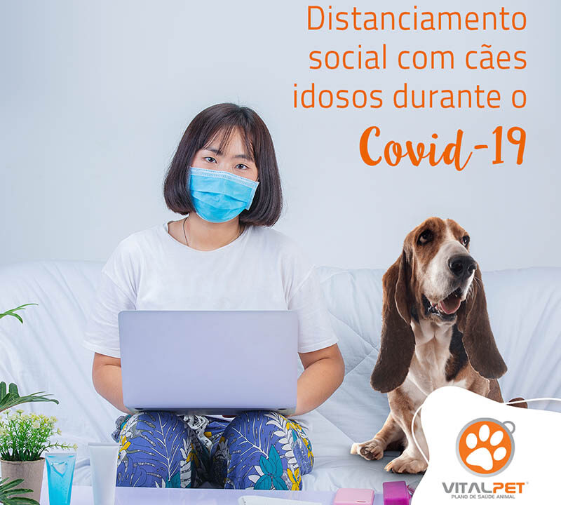 Distanciamento social com cães idosos durante o COVID-19