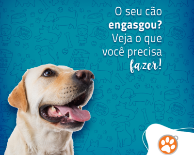 O que fazer quando seu cão está engasgado