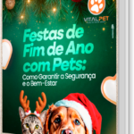 [E-book] FESTAS DE FIM DE ANO