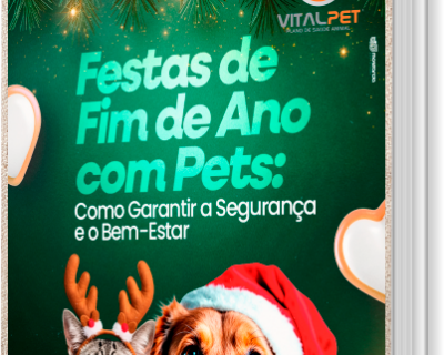 [E-book] FESTAS DE FIM DE ANO
