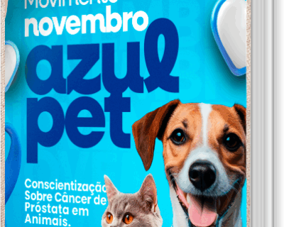 [E-book] NOVEMBRO AZUL