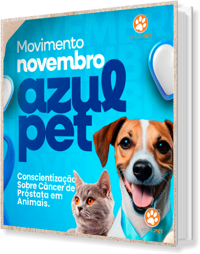 [E-book] NOVEMBRO AZUL
