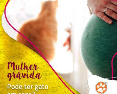 Mulher grávida pode ter gato? Tudo que você precisa saber sobre toxoplasmose!