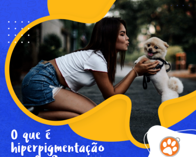 Tudo o que você precisa saber sobre hiperpigmentação em cães