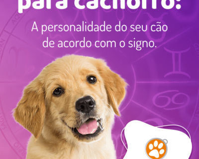 Horóscopo para cachorro: o que o signo do seu cão diz sobre ele
