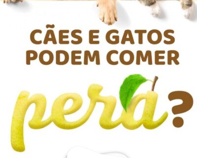 Cães e gatos podem comer peras?