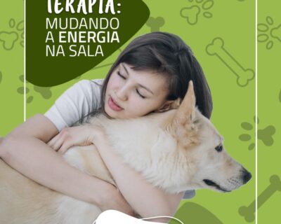 Cães de Terapia Mudando a Energia da Sala