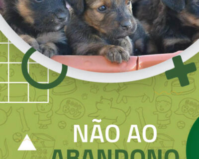 Dezembro Verde – Diga não ao abandono de animais