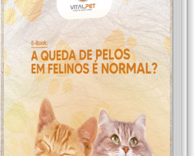 [E-book] A QUEDA DE PELOS EM FELINOS É NORMAL