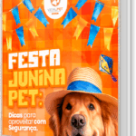 [E-book] FESTA JUNINA