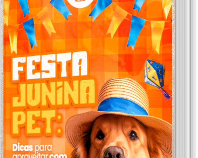 [E-book] FESTA JUNINA