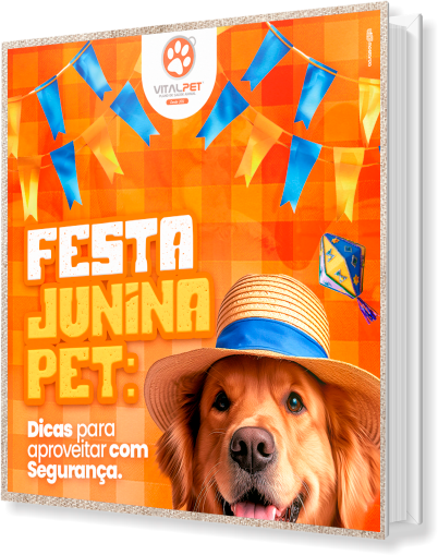 [E-book] FESTA JUNINA