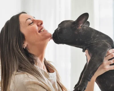 Estas atitudes comuns do dia a dia podem fazer mal à saúde dos pets