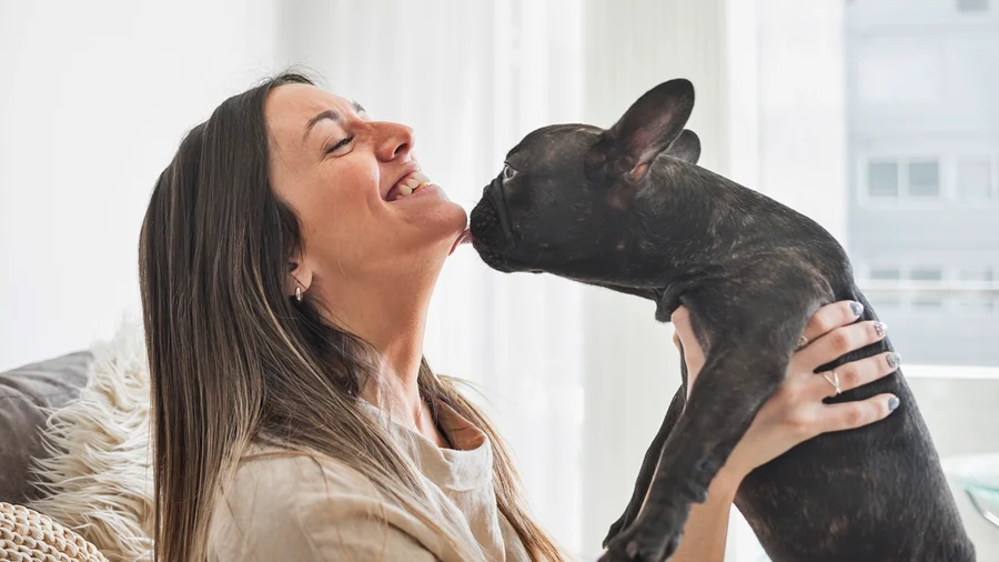 Estas atitudes comuns do dia a dia podem fazer mal à saúde dos pets